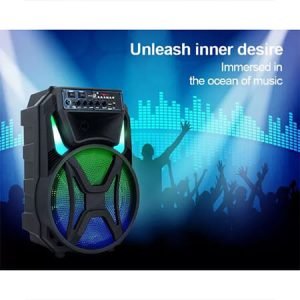 Караоке тонколона 12" инча с безжичен микрофон - MD13-12L - imagine 2