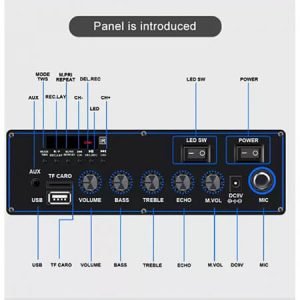 Караоке тонколона 12" инча с безжичен микрофон - MD13-12L - imagine 6