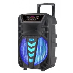 Difuzor Karaoke 12" inch cu microfon wireless - GZ-W1012