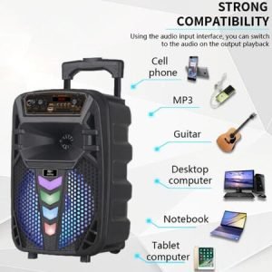 Караоке тонколона 12" инча с безжичен микрофон - GZ-W1012 - imagine 2